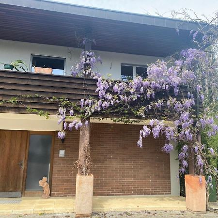 Apartments In Leafy Suburb Kehrsatz Ngoại thất bức ảnh
